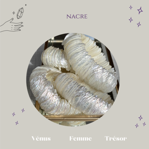 Nacre coquillage